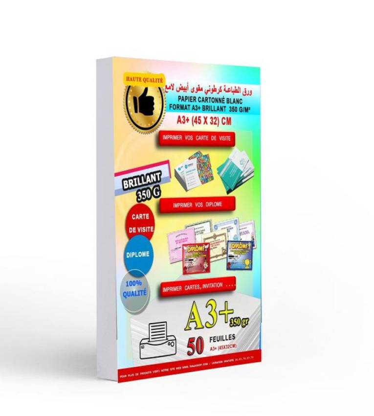 Pack 50 Feuilles Paper 350g A3+ (45x31cm) cartonné